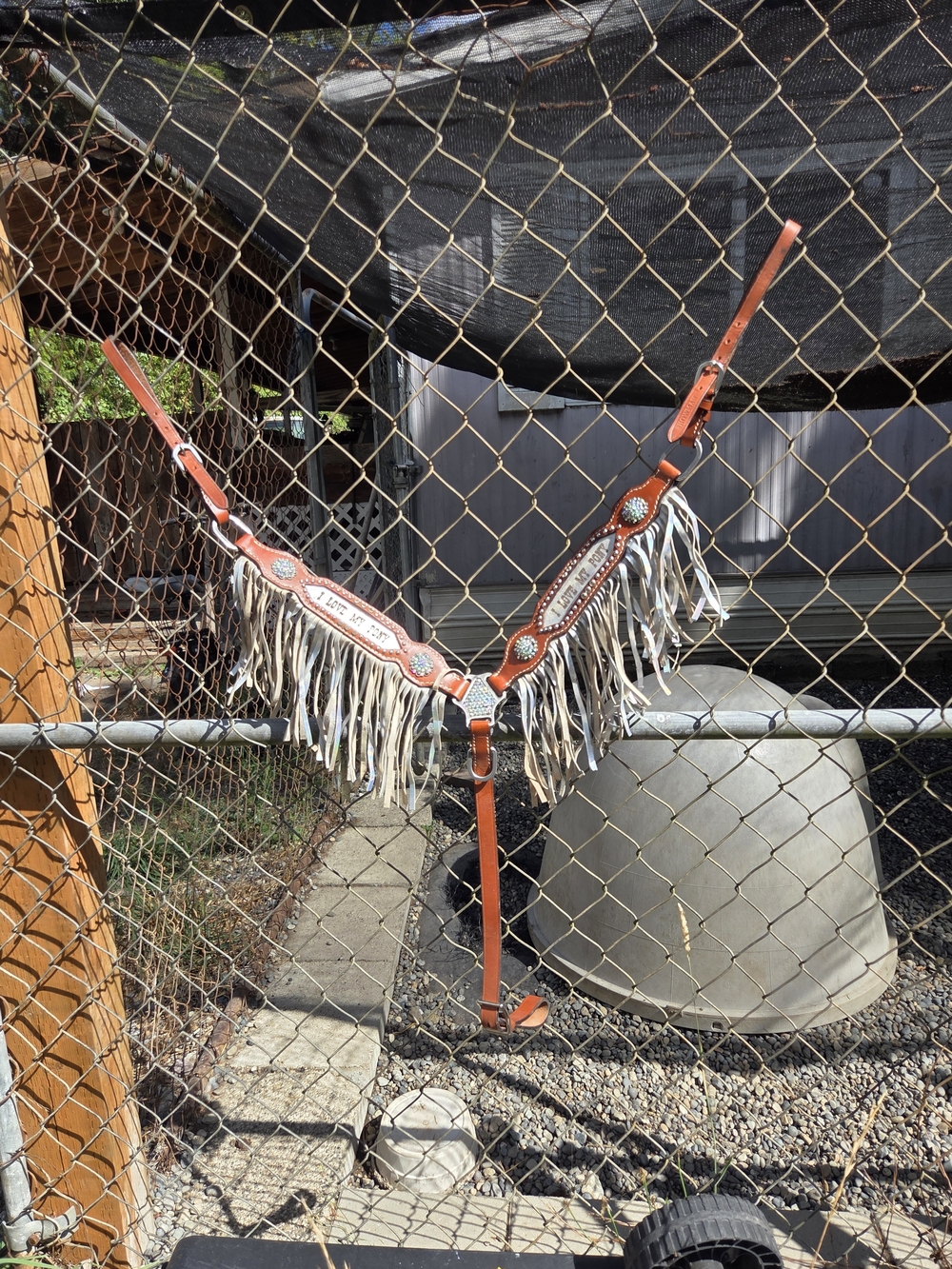 Decorative Brown Leather Fringe Breast Collar with Conchos Pony Size